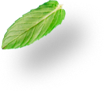 img-fruit8